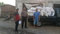 Jagung Petani Sukorejo Tembus Bulog, Polisi Kawal Pengiriman Hasil Panen