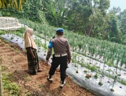 Inspiratif, Begini Cara Polsek Nongkojajar Dukung Ketahanan Pangan
