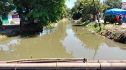 Kemarau, Pemkab Sidoarjo Terus Genjot Normalisasi Sungai dan Pembersihan Afvoer