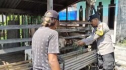 Pantauan Bhabinkamtibmas, Budidaya Kambing di Kauman Tunjukkan Perkembangan Positif