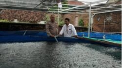 Budidaya Lele Warga Tambakan Berkembang Baik, Bhabinkamtibmas Dukung Program Pekarangan Bergizi