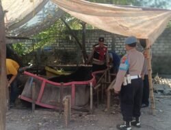 Polsek Krian Bongkar Arena Sabung Ayam di Ponokawan