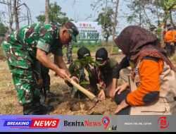 Aksi Penanaman Sejuta Pohon Semarakkan HUT TNI ke-81 dan HUT Kodam IV/Diponegoro ke-76