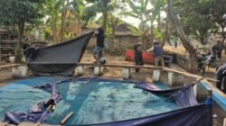 Respons Cepat Aduan Warga, Polres Nganjuk Bongkar Dua Lokasi Sabung Ayam