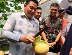 Bupati Subandi Resmikan Wisata Petik Melon BUMDes Candinegoro
