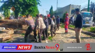 Polisi Bantu Evakuasi Pohon Tumbang di Jalan Raya Tebel Gedangan