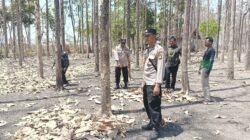 Sinergi Cegah Karhutla, Polres Bojonegoro Sisir Kawasan Rawan di Kedungadem