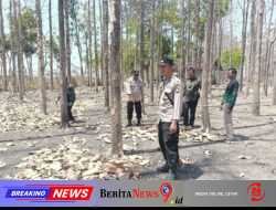 Sinergi Cegah Karhutla, Polres Bojonegoro Sisir Kawasan Rawan di Kedungadem