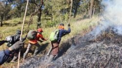 Polsek Nongkojajar Antisipasi Karhutla Malang Merembet ke Wilayah Pasuruan