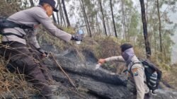 Tembus Ketinggian 1.800 MDPL, Tim Gabungan Polres Blitar Jinakkan Api di Gunung Buthak