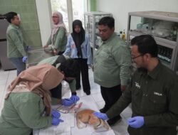 Peringati World Rabies Day 2026, DPPP Sidoarjo Gelar Vaksinasi Rabies Gratis