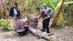 Tindaklanjuti Dumas Dugaan Judi Sabung Ayam, Polsek Krian Datangi Lokasi dan Tertibkan Arena