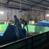 Polsek Candi Bongkar Sarana Sabung Ayam di Desa Klurak