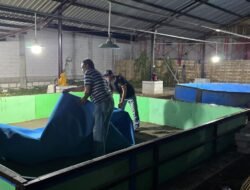 Polsek Candi Bongkar Sarana Sabung Ayam di Desa Klurak