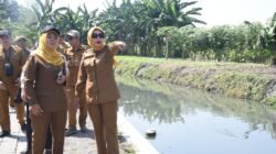 Pemkab Sidoarjo Kerahkan 8 Ekskavator untuk Normalisasi Sungai di Tanggulangin dan Candi