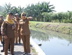 Pemkab Sidoarjo Kerahkan 8 Ekskavator untuk Normalisasi Sungai di Tanggulangin dan Candi