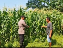 Polsek Tanggulangin Dukung Ketahanan Pangan, Upayakan Keluhan Petani di Desa Randegan