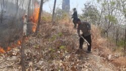 Respons Cepat Polres Ponorogo dan Tim Gabungan Berhasil Jinakkan Karhutla di Sampung