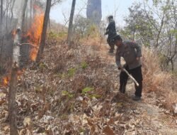 Respons Cepat Polres Ponorogo dan Tim Gabungan Berhasil Jinakkan Karhutla di Sampung