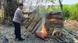 Polsek Sukodono Tindak Lanjuti Dumas Sabung Ayam di Desa Bangsri