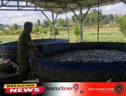 Kodim 0808/Blitar Optimalkan Program Ketahanan Pangan Melalui Sistem Pertanian Terpadu Di Srengat