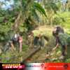 Wujud Kemanunggalan TNI Dan Rakyat, Babinsa Kedungbanteng Bersama Warga Gotong Royong Bersihkan Irigasi Sawah